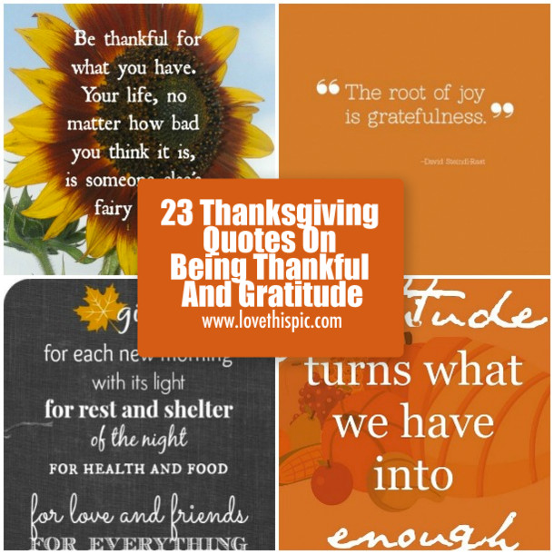 Thanksgiving Quotes Thankful
 23 Thanksgiving Quotes Being Thankful And Gratitude