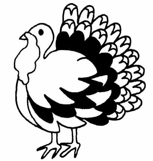 Thanksgiving Turkey Clipart Black And White
 Turkey black and white thanksgiving clip art black and