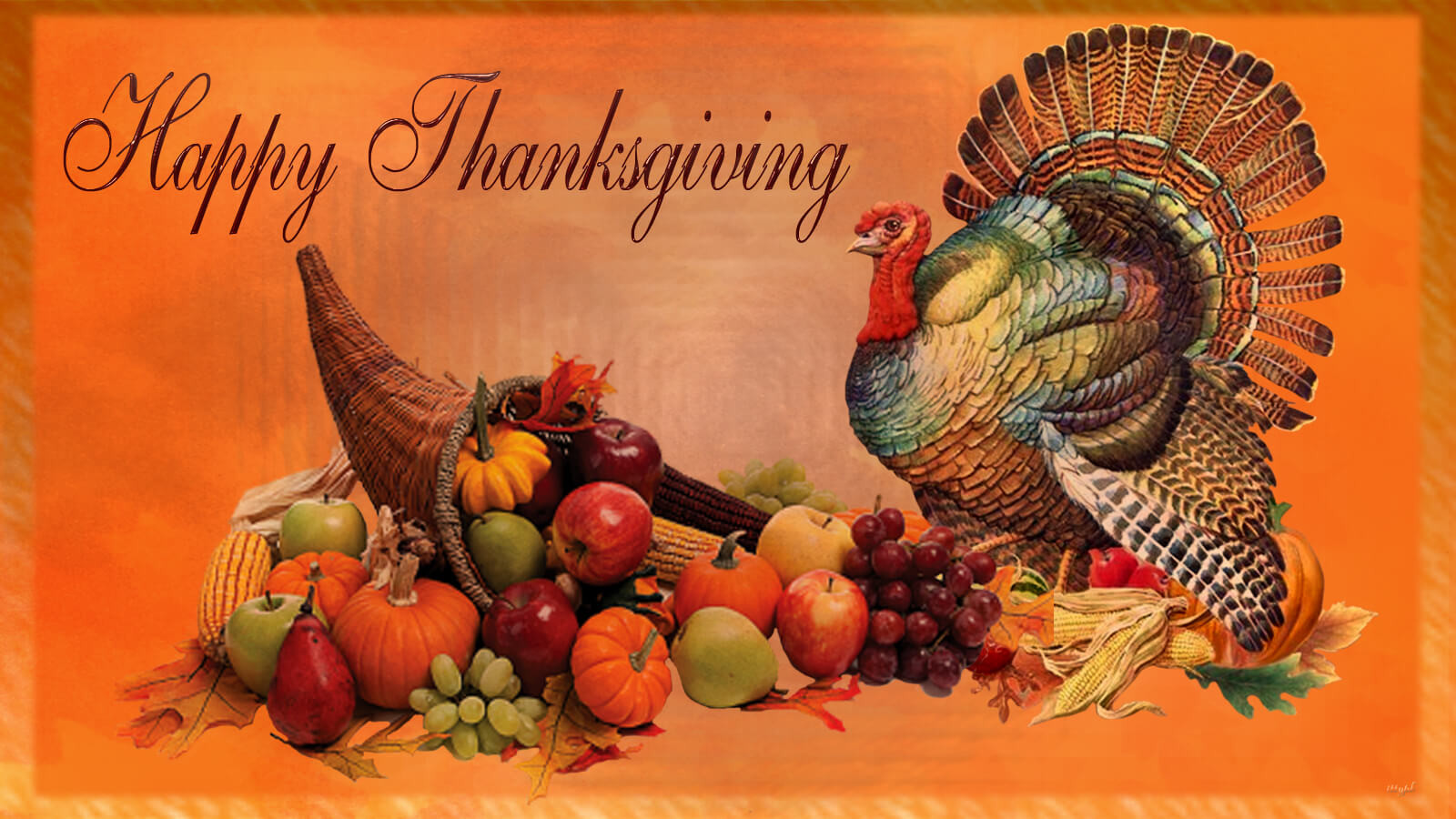 Thanksgiving Turkey Photos
 Happy Thanksgiving Day Pumpkin Turkey Feast Hd Wallpaper