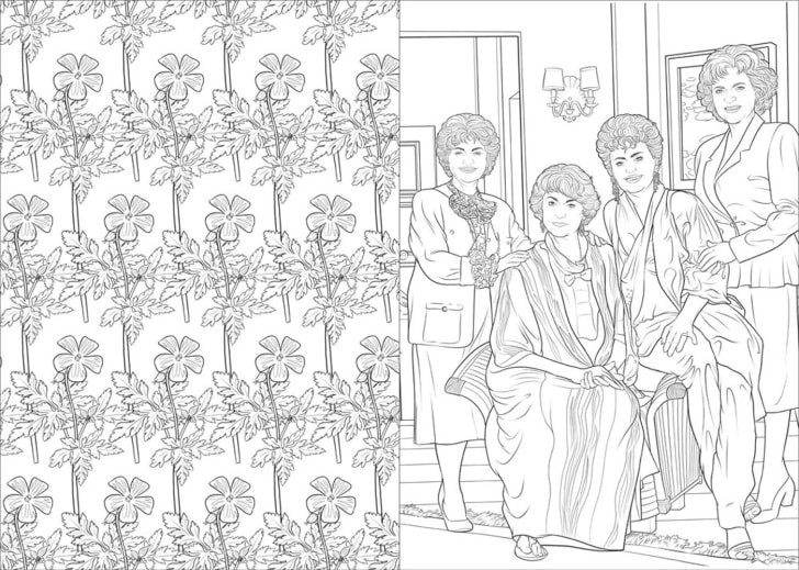 The Golden Girls Coloring Book
 The Golden Girls Now in Coloring Book Form