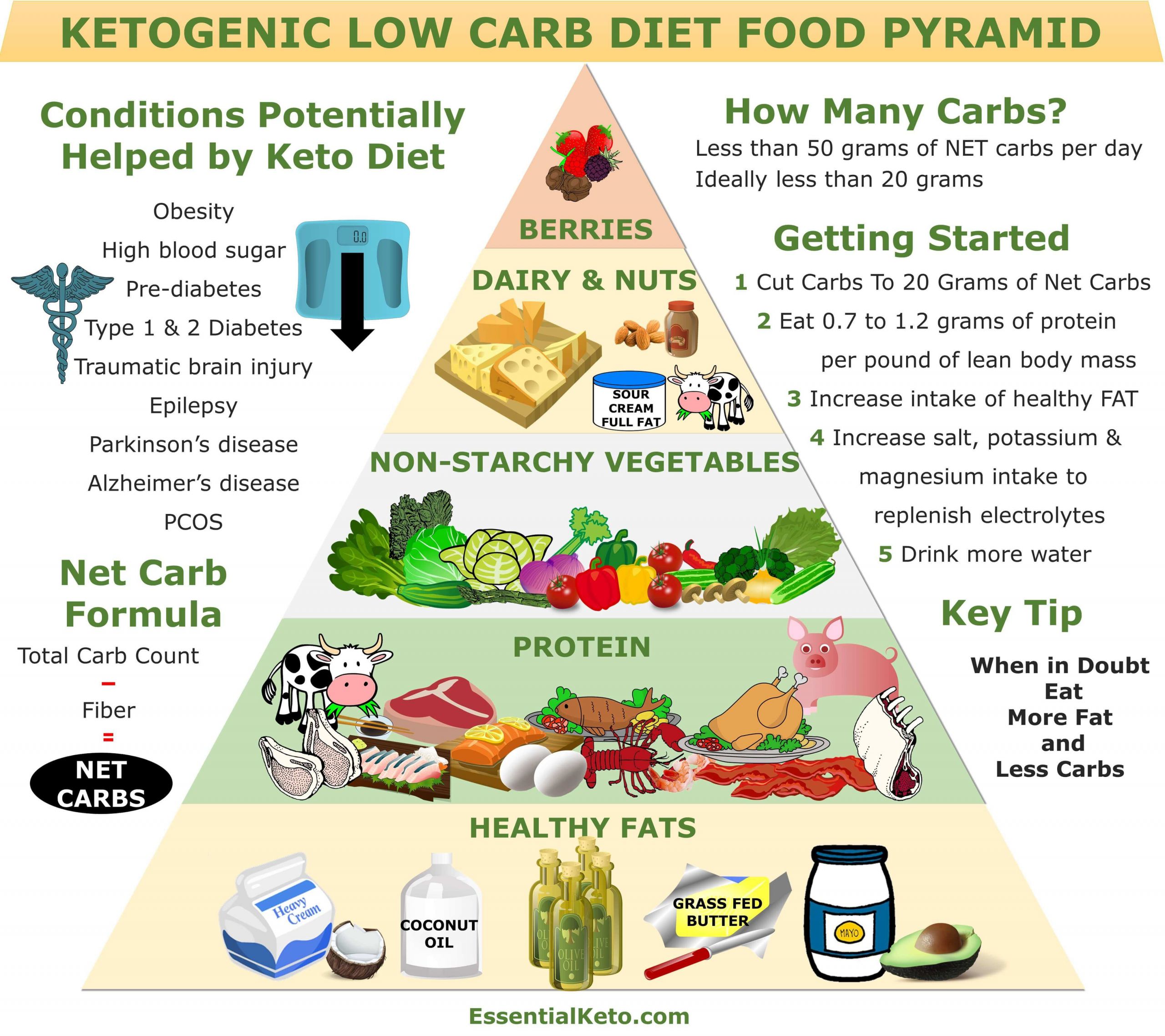 The Keto Diet
 Keto Food Pyramid