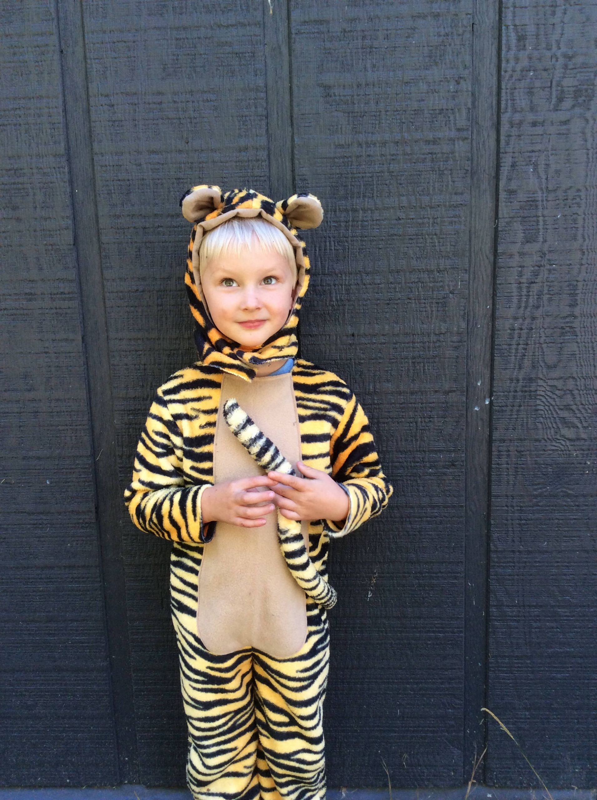 Tigger Costume DIY
 Tigger Kids Costume Winnie The Pooh Tiger Halloween