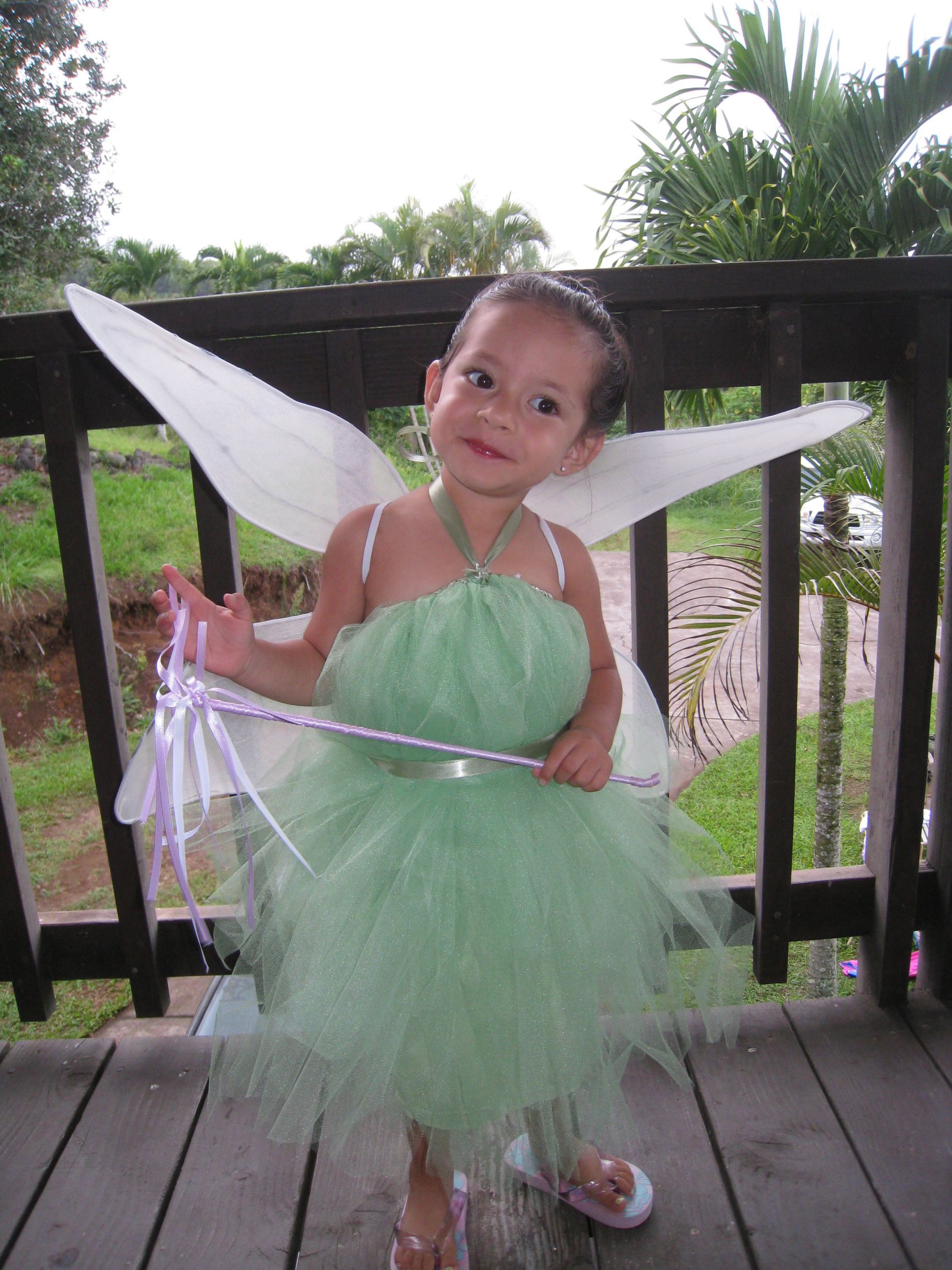 Tinkerbell Costume DIY
 25 DIY Halloween Costumes