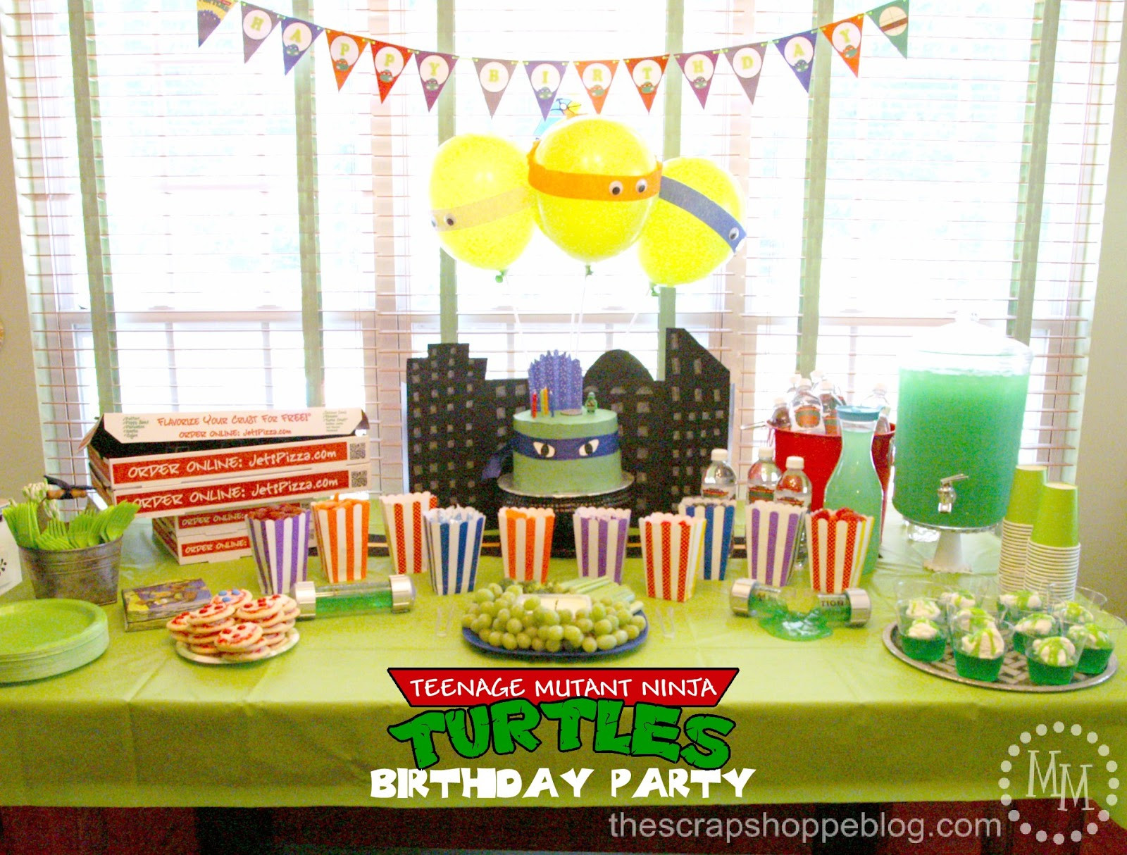 Tmnt Birthday Party
 Teenage Mutant Ninja Turtle TMNT Birthday Party The