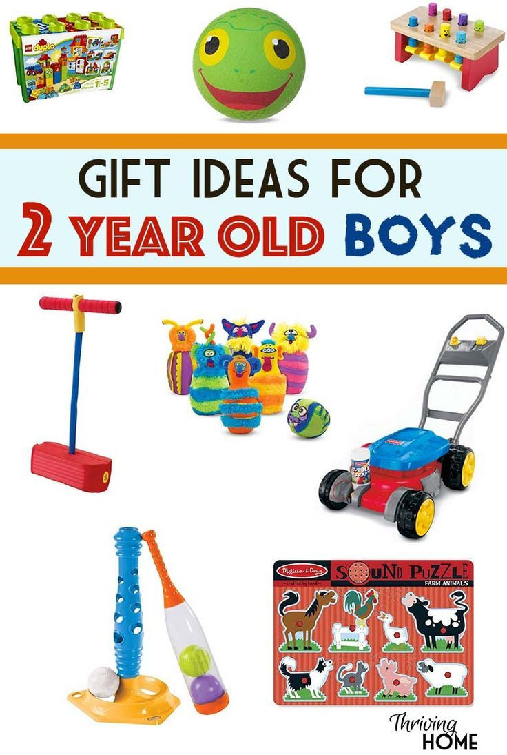 Toddler Gift Ideas For Boys
 Gift Ideas for a Two Year Old Boy Thriving Home