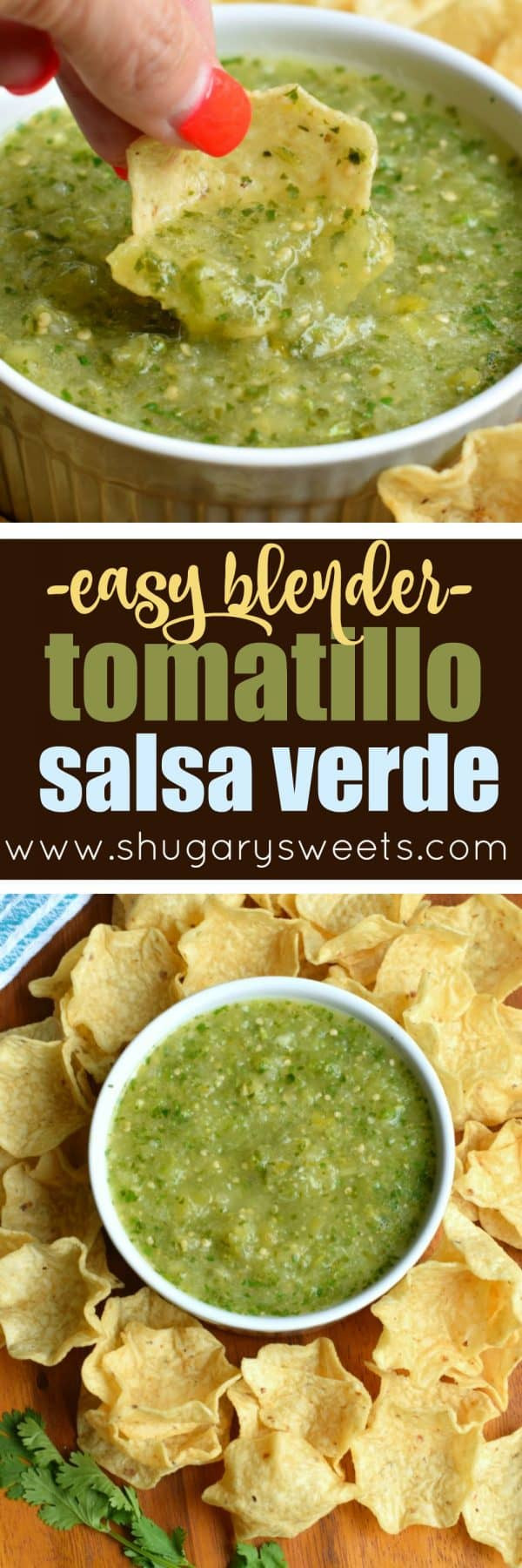 Tomatillo Salsa Verde Recipe
 Easy Blender Tomatillo Salsa Verde Recipe