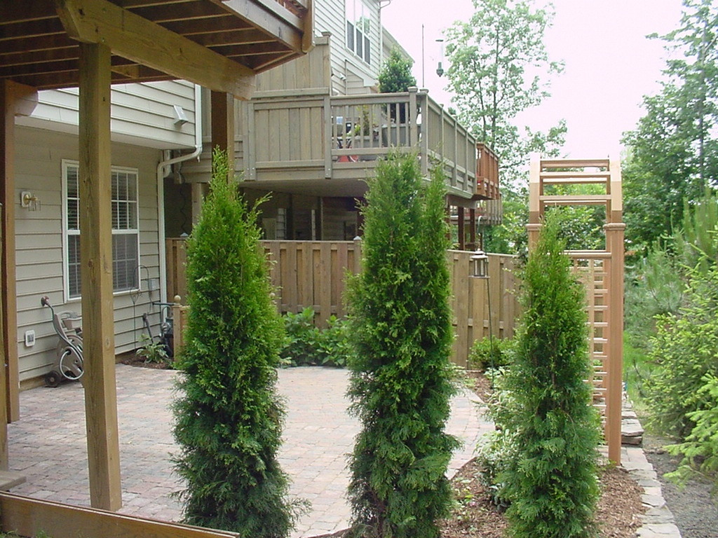 Townhomes With Backyard
 5 of the Best Townhouse Landscaping Ideas and