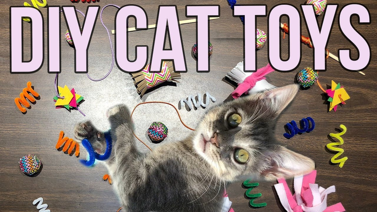 Toys Kids Can Make
 5 Easy Cat Toys Kids Can Make at Home