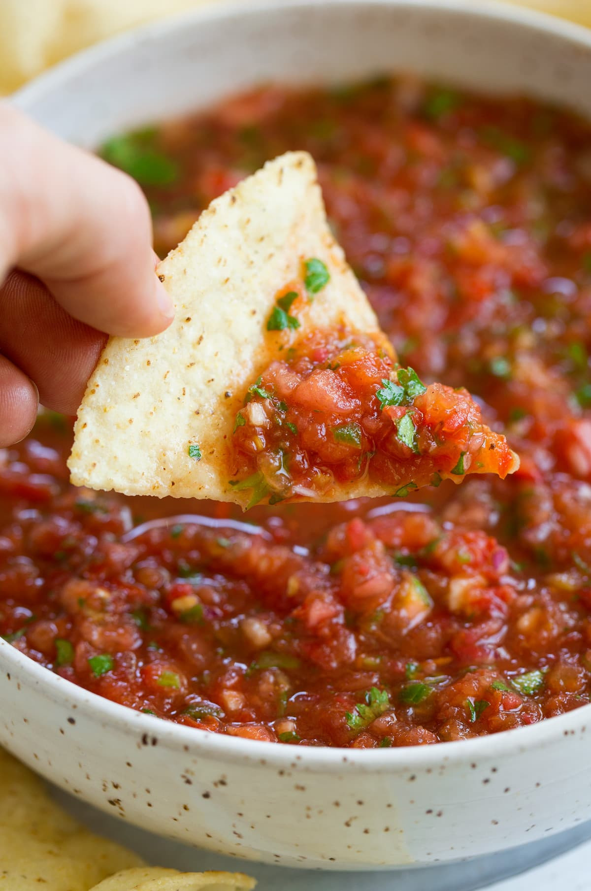 Traditional Salsa Recipe
 Easy Homemade Salsa Recipe Cooking Classy