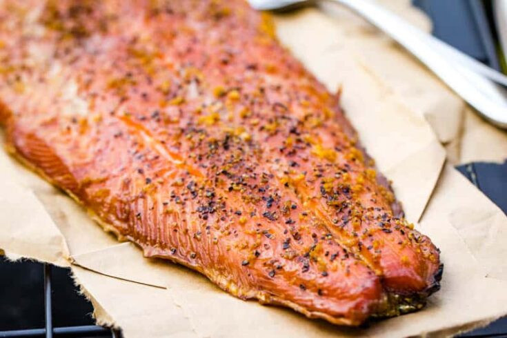 Traeger Smoked Salmon Recipes
 Traeger Smoked Salmon Recipes