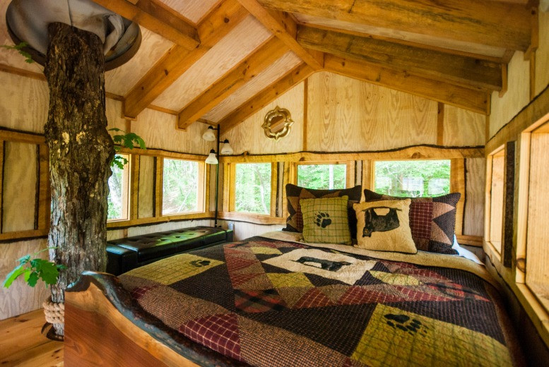 Treehouse Bedroom For Kids
 5 Reasons You Should Stay At This Incredible Blue Ridge