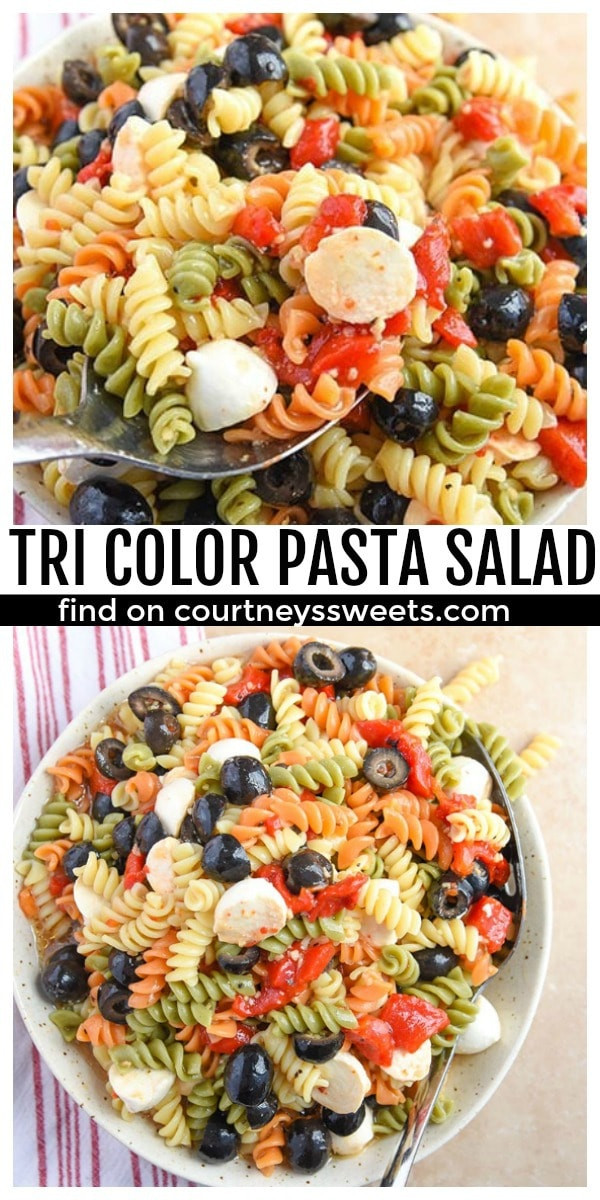 Tri Color Rotini Pasta Salad Recipe
 Tri Color Pasta Salad Recipe Courtney s Sweets