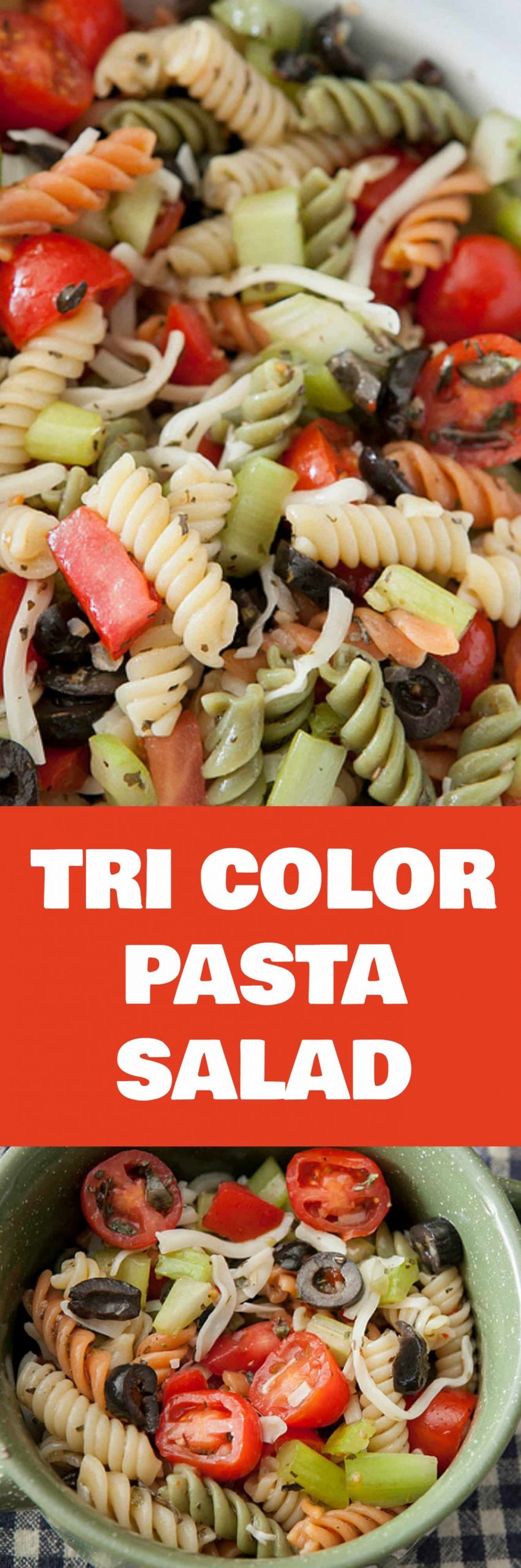 The top 24 Ideas About Tri Color Rotini Pasta Salad Recipe - Home ...