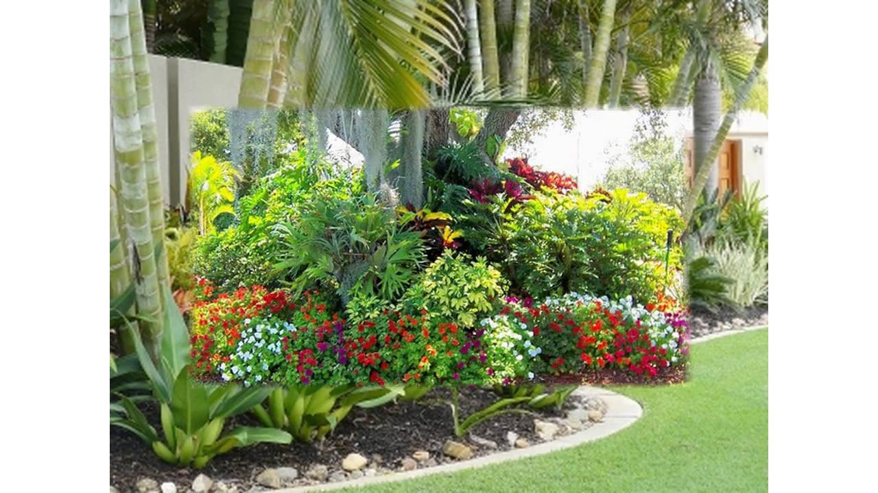 Tropical Backyard Decorations
 Small tropical garden ideas