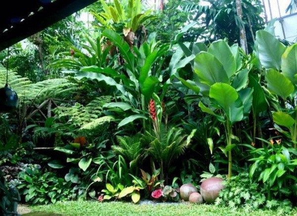 Tropical Backyard Decorations
 Tropical Backyard Ideas 20 Beautifully Refreshing Decors