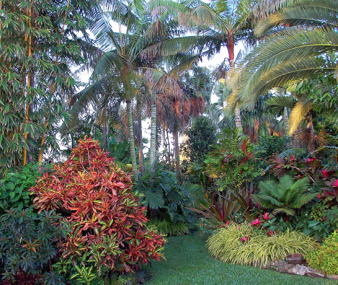 Tropical Backyard Decorations
 21 Beautiful Tropical Landscaping Ideas s