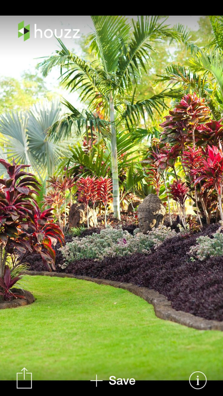 Tropical Backyard Decorations
 470 best tropical landscaping ideas images on Pinterest