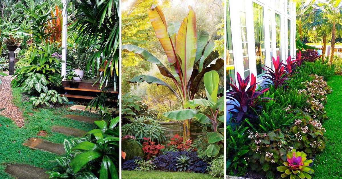 Tropical Backyard Decorations
 Top Tropical Backyard Garden Ideas Stylendesigns