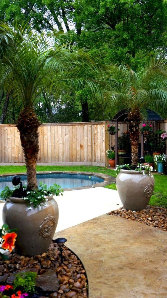 Tropical Backyard Decorations
 Tropical Backyard Ideas 20 Beautifully Refreshing Decors