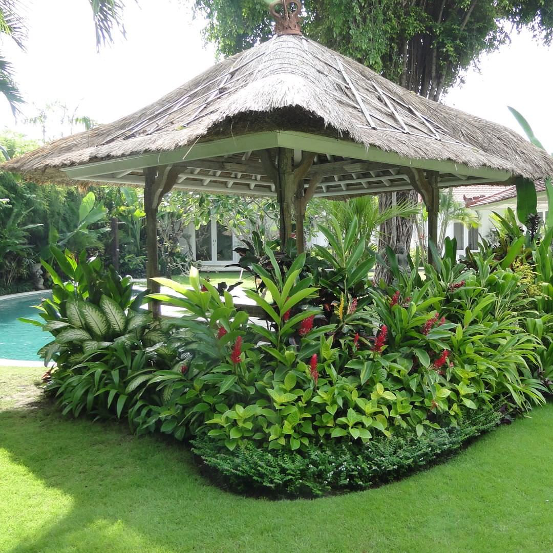 Tropical Backyard Decorations
 24 Tropical Garden Designs Decorating Ideas