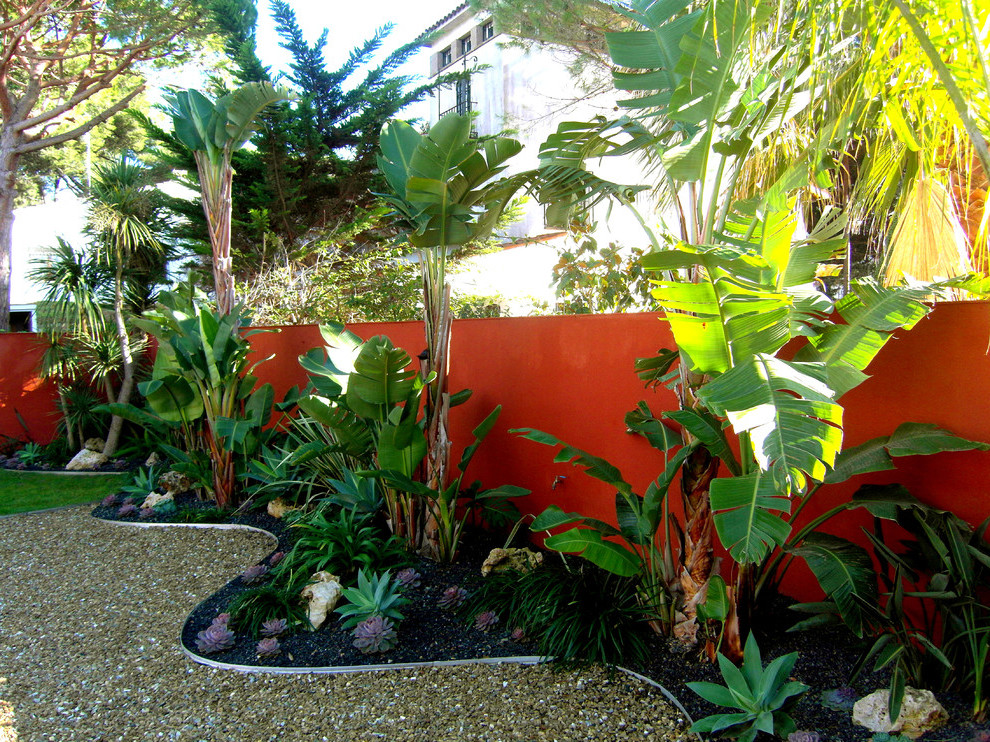 Tropical Backyard Decorations
 Tropical Backyard Ideas For Beautiful View 507