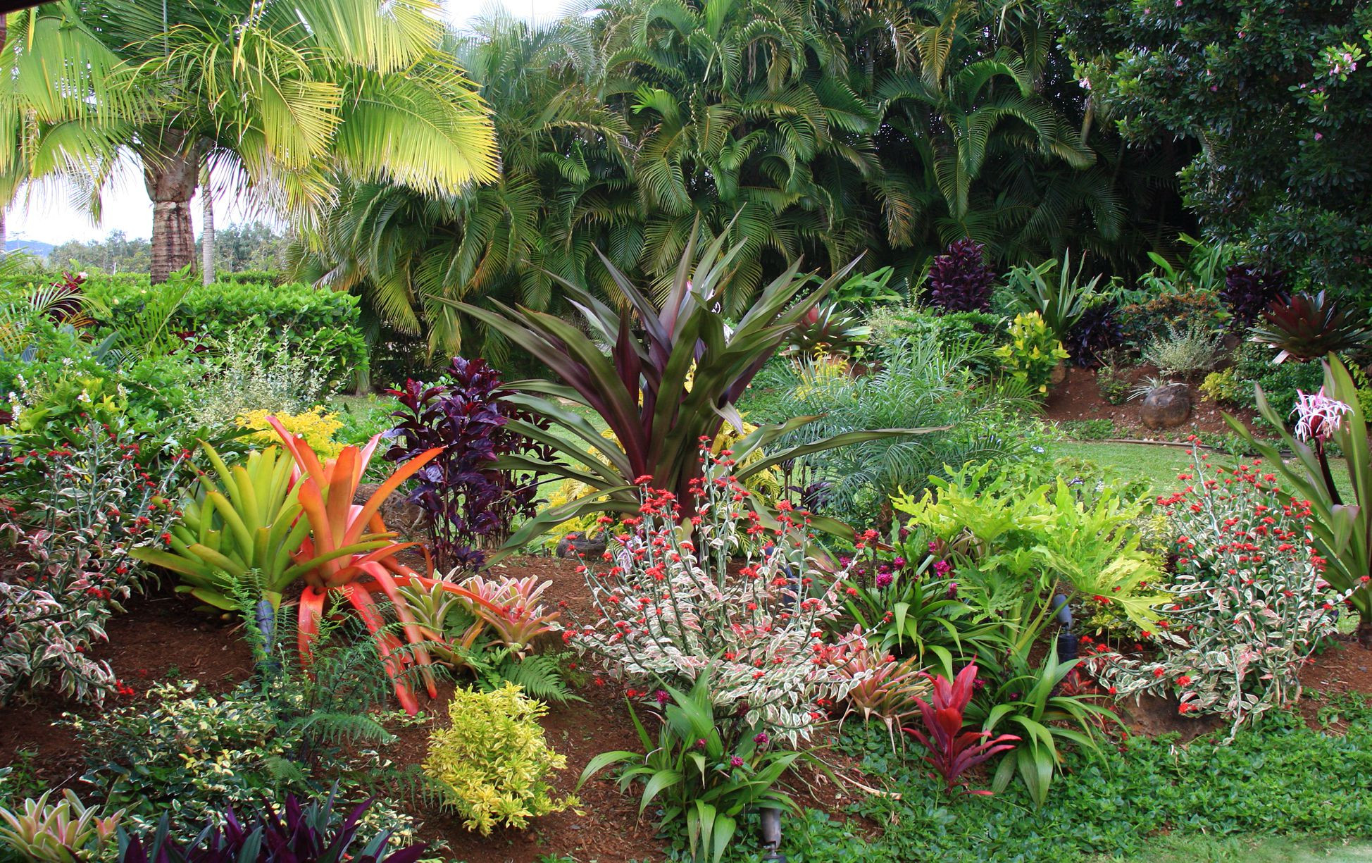 Tropical Backyard Decorations
 Tropical Flower Garden Design Ideas