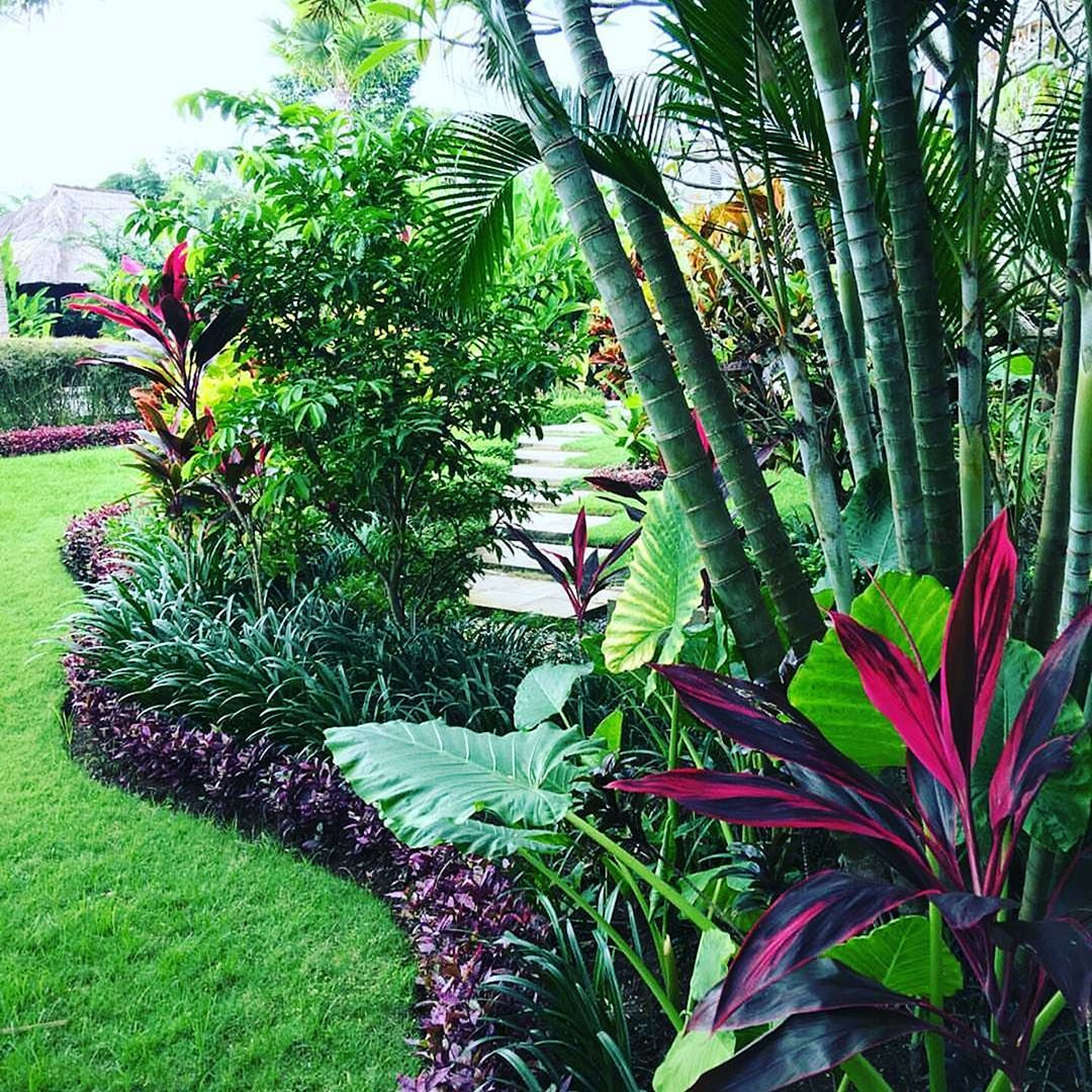 Tropical Backyard Decorations
 15 Beautiful Tropical Front Yard Landscape Ideas To Make