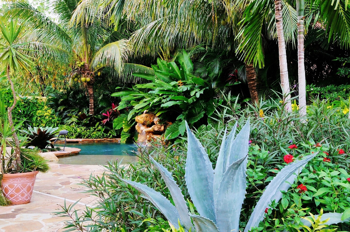 Tropical Landscape Design
 Tropical Landscape Garden Design Miami Knoll Landscape