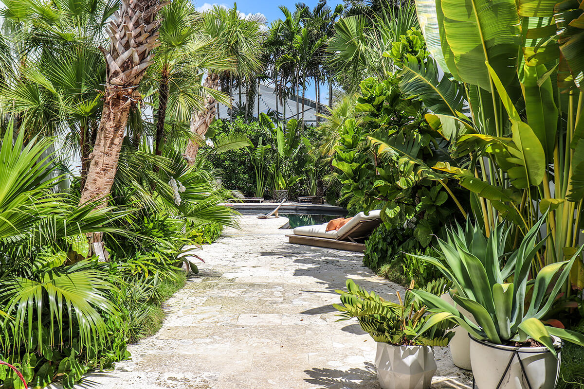 Tropical Landscape Design
 TROPICAL LANDSCAPE DESIGN PRIVATE RESIDENCE Plant The