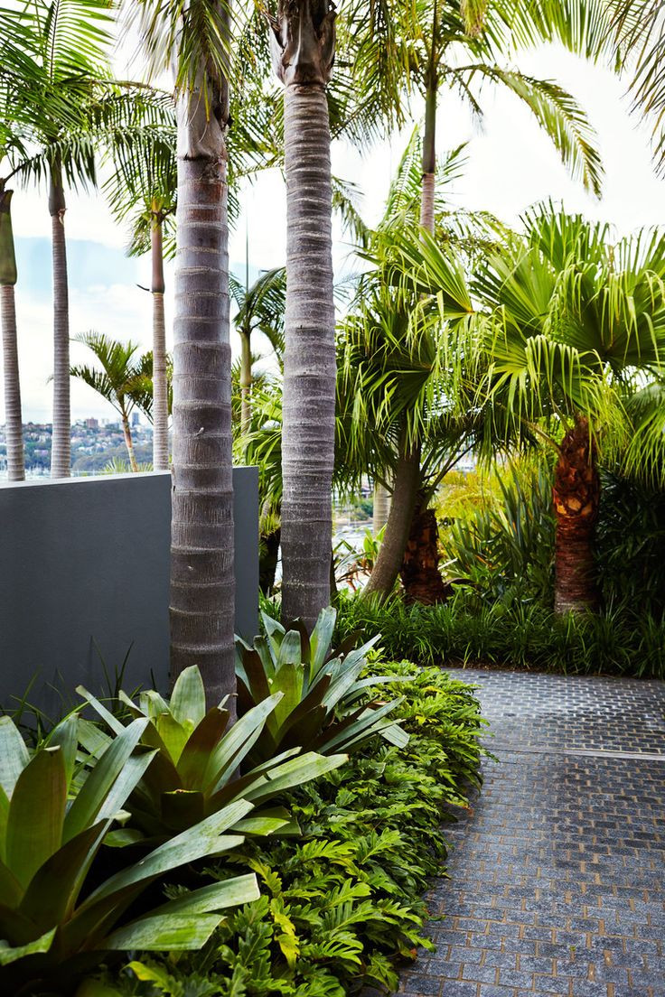Tropical Landscape Design
 470 best tropical landscaping ideas images on Pinterest