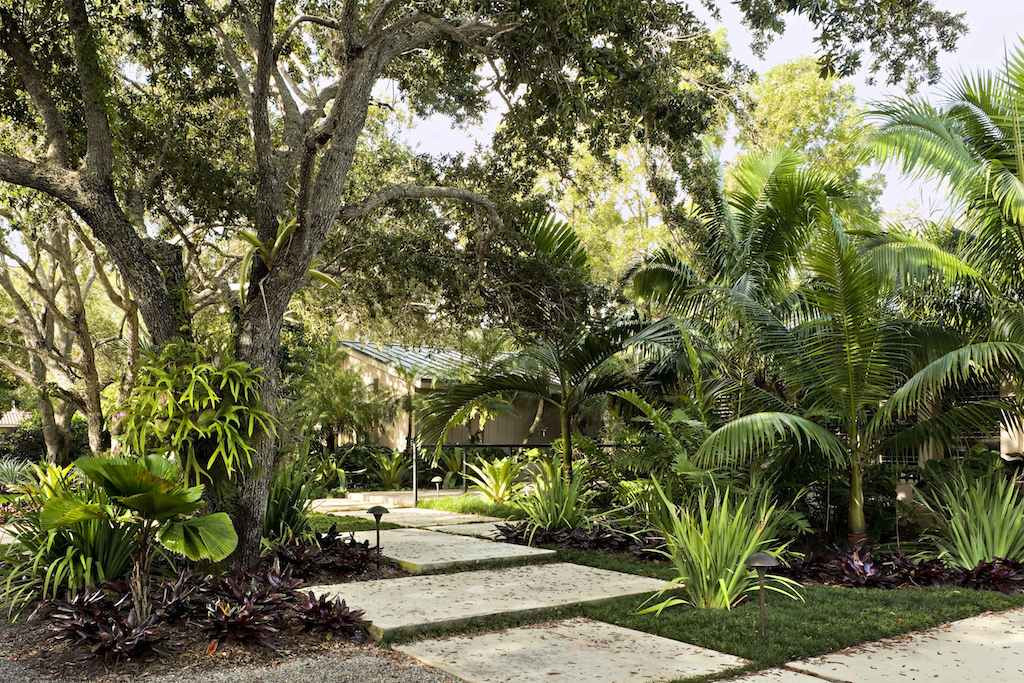 Tropical Landscape Design
 Tropical Garden and Landscape Design