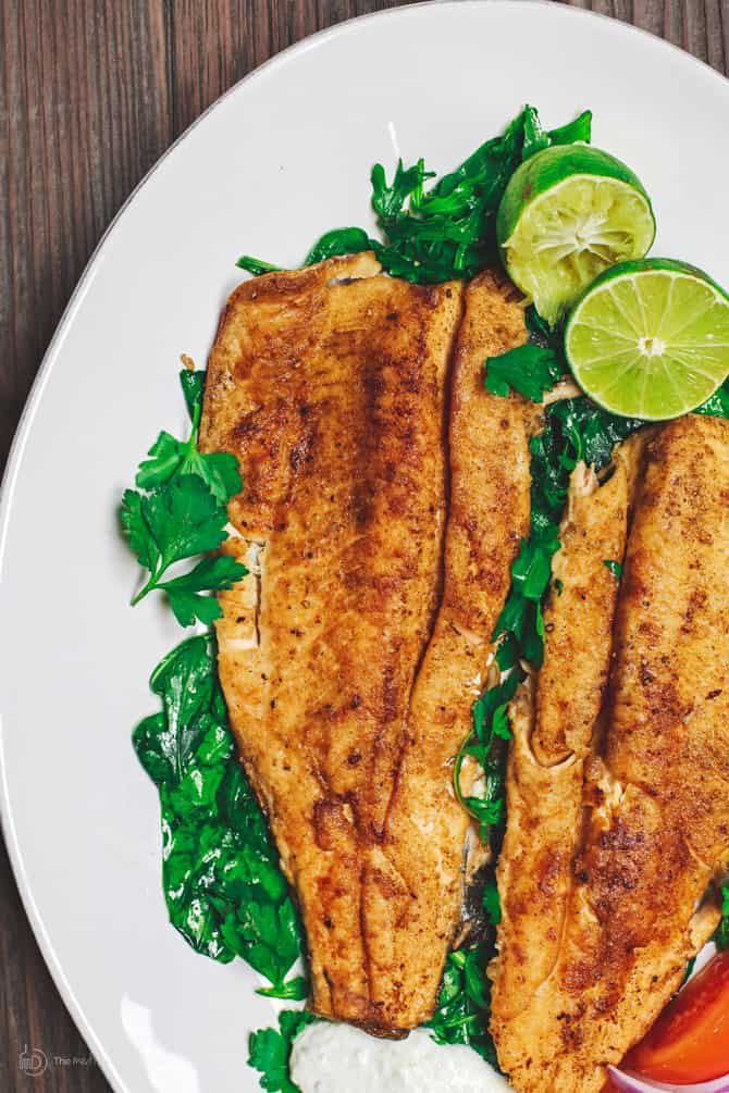 Trout Fish Recipes
 Mediterranean Pan Seared Trout Recipe with Tzatziki Sauce