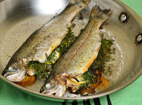 Trout Fish Recipes
 Whole Roasted Trout with Lemon and Dill — Daily