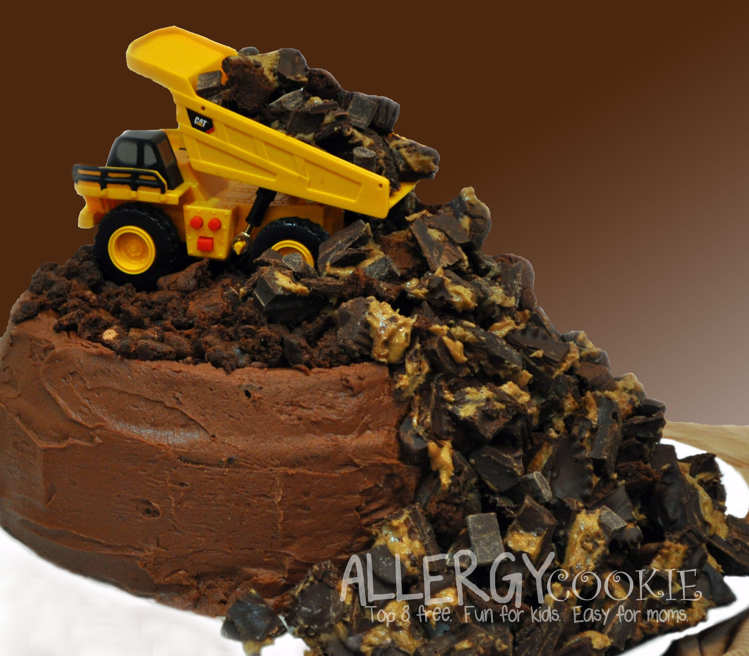 Truck Birthday Cakes
 Allergy Free Dump Truck Birthday Cake top 8 free gluten