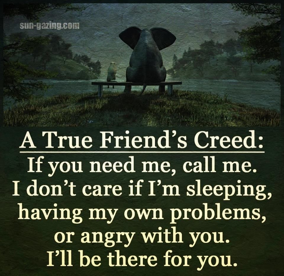 True Friendship Quotes
 A True Friend s Creed s and for