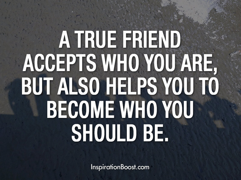 True Friendship Quotes
 True friendship quotes