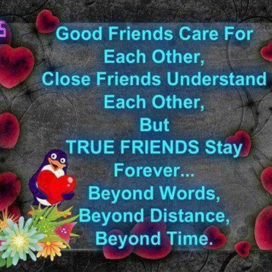 True Friendship Quotes
 20 True Friends Quotes