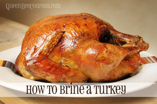 Turkey Brine Alton Brown
 How to brine a turkey before you roast it perfect