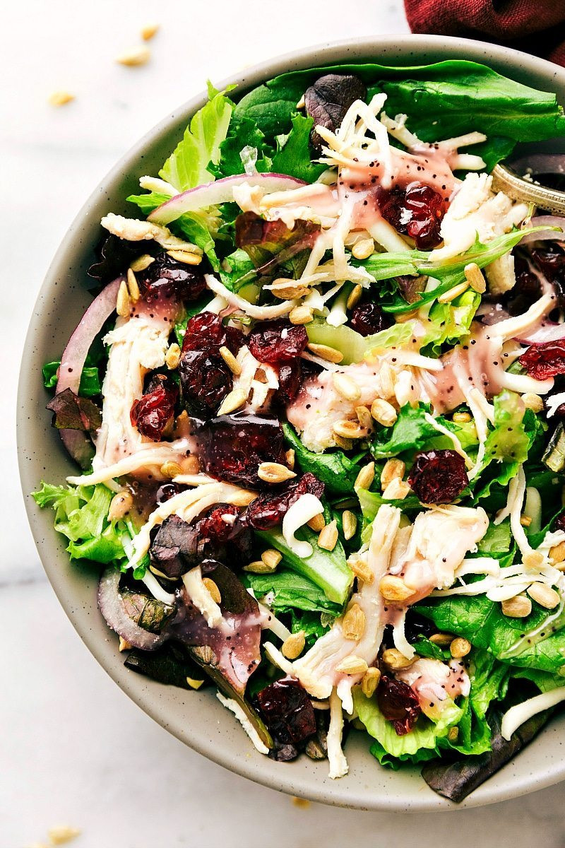 Turkey Salad With Cranberries
 Turkey & Cranberry Salad Kneader s Copycat