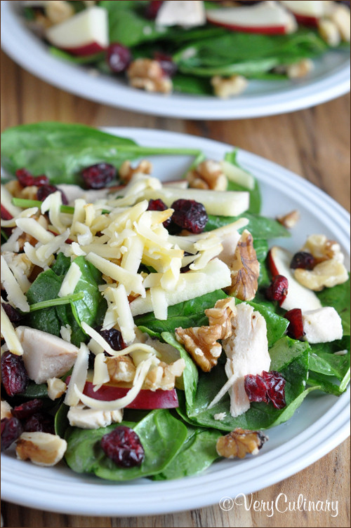 Turkey Salad With Cranberries
 Leftover Turkey Recipes Clean and Scentsible