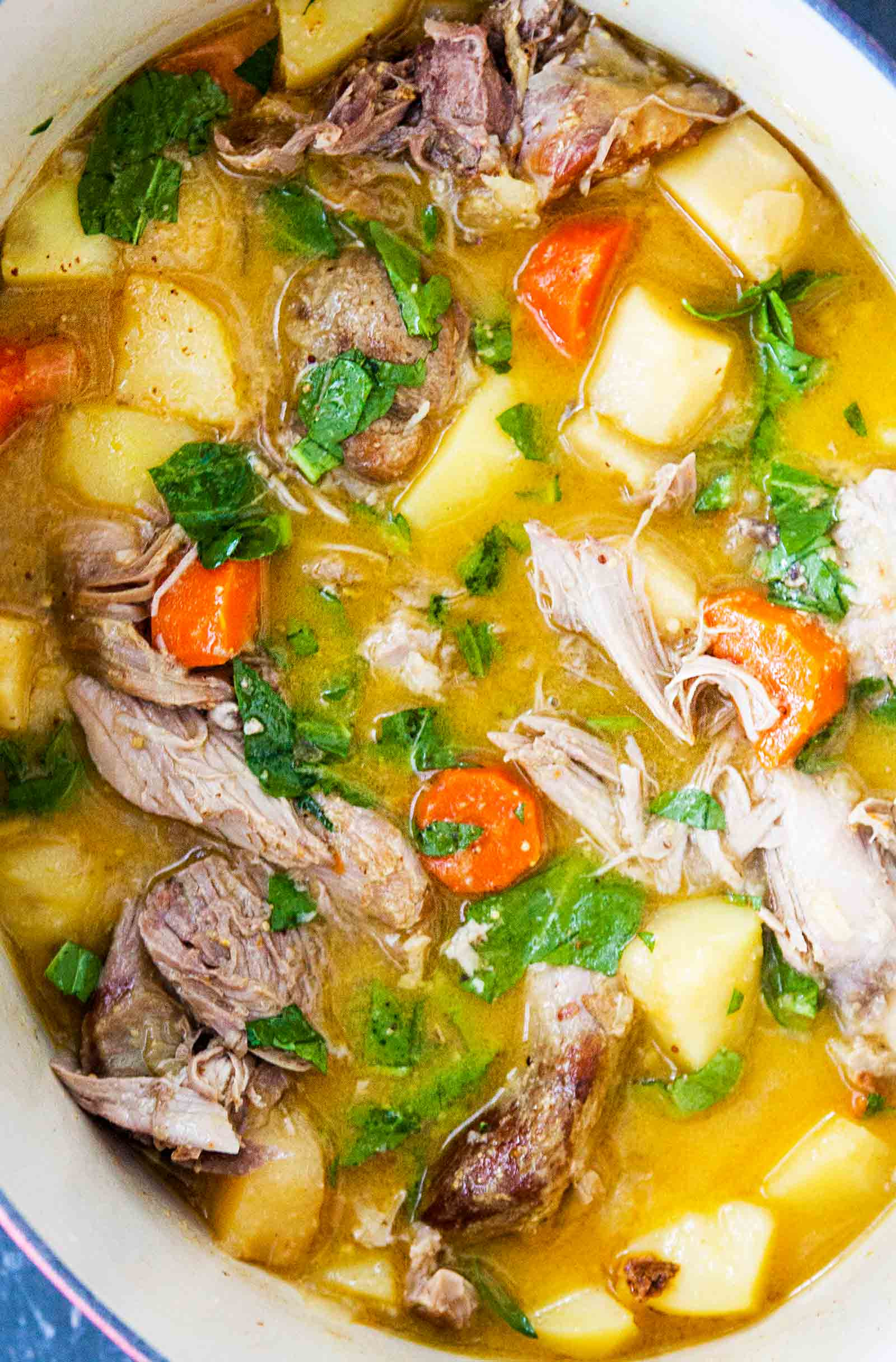 Turkey Stew Recipes Slow Cooker
 Slow Cooker Turkey Stew with Mustard and Root Ve ables