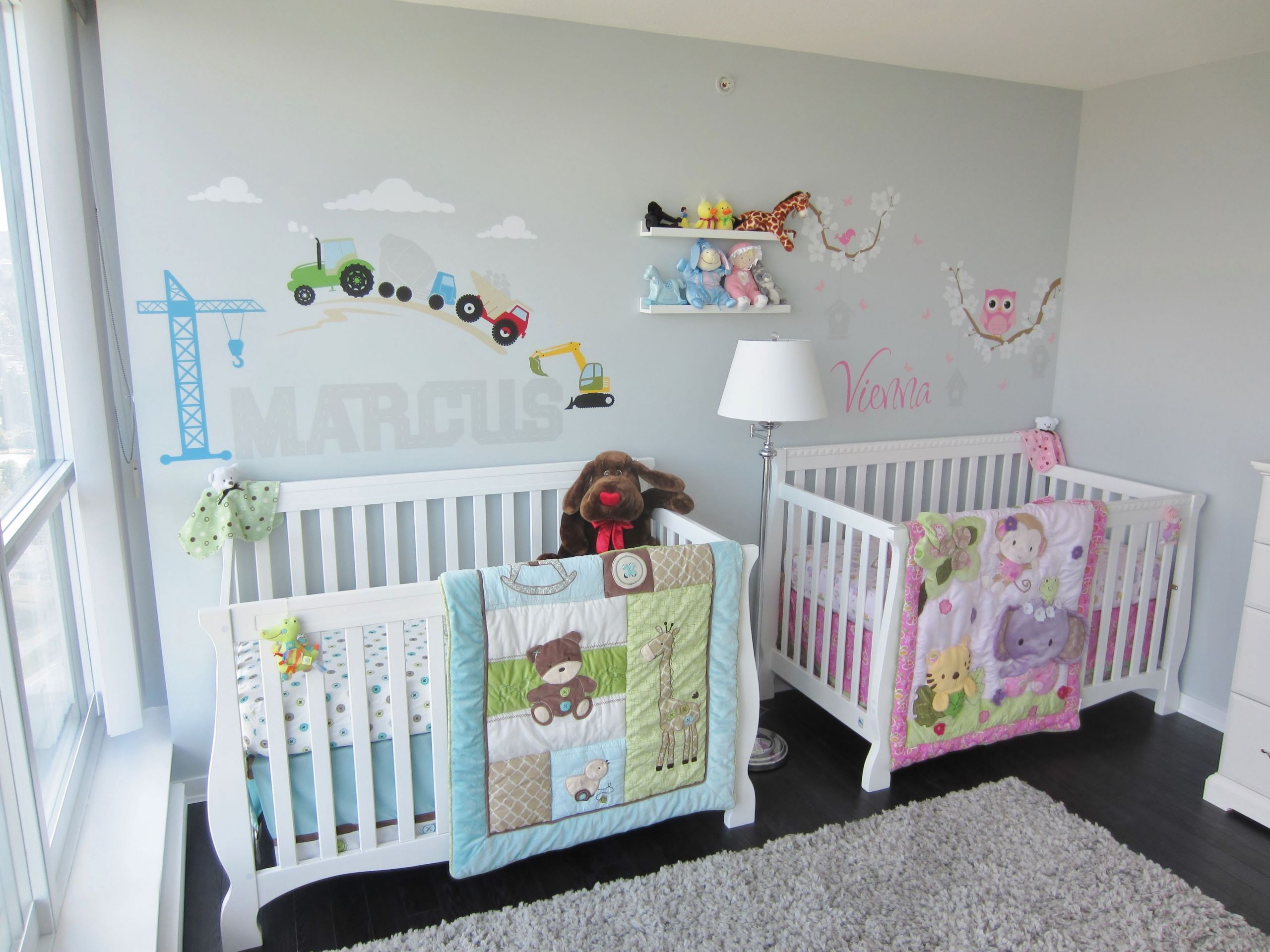 Twins Baby Room Decorating Ideas
 Twins Nursery boy & girl