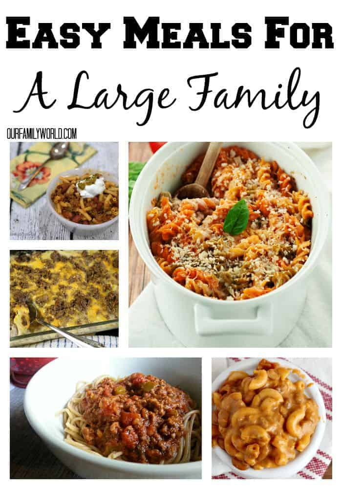 Valentine'S Dinner Ideas For Family
 Easy Meals For A Family Our Family World