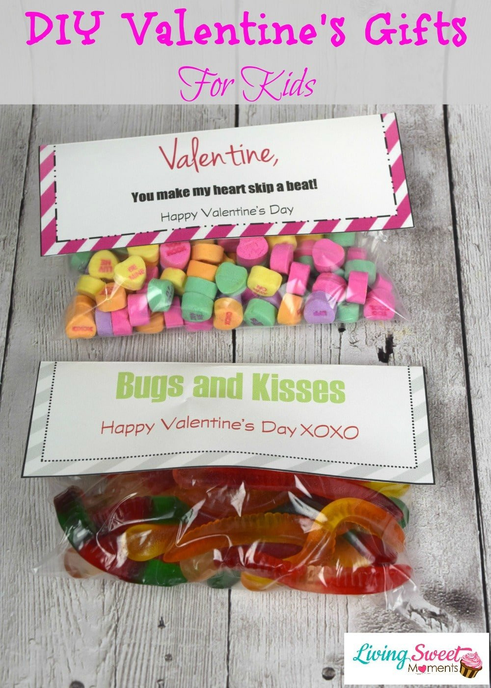 Valentines Gift Ideas For Children
 DIY Valentine s Gift For Kids