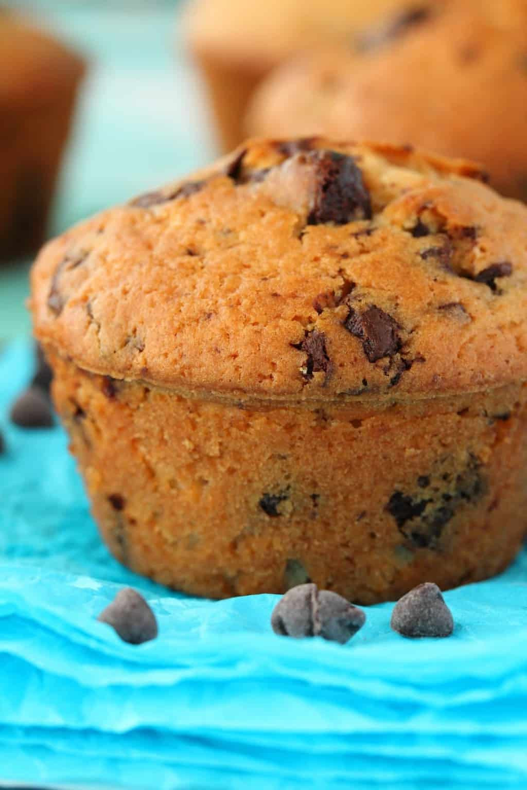 Vegan Chocolate Chip Muffins
 Vegan Chocolate Chip Muffins Moist and Rich Loving It