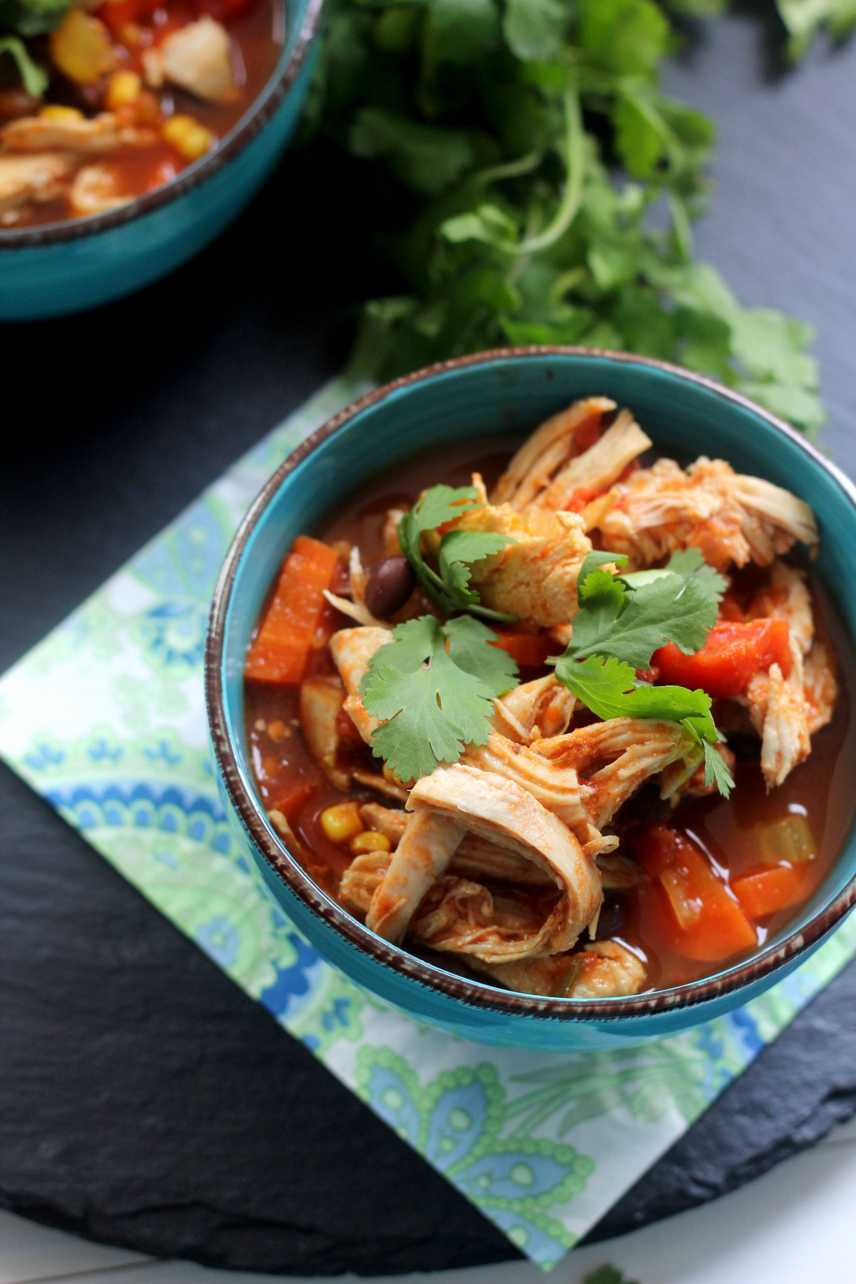 Vegetable Chicken Soup
 Southwest Chicken Ve able Soup Gather for Bread