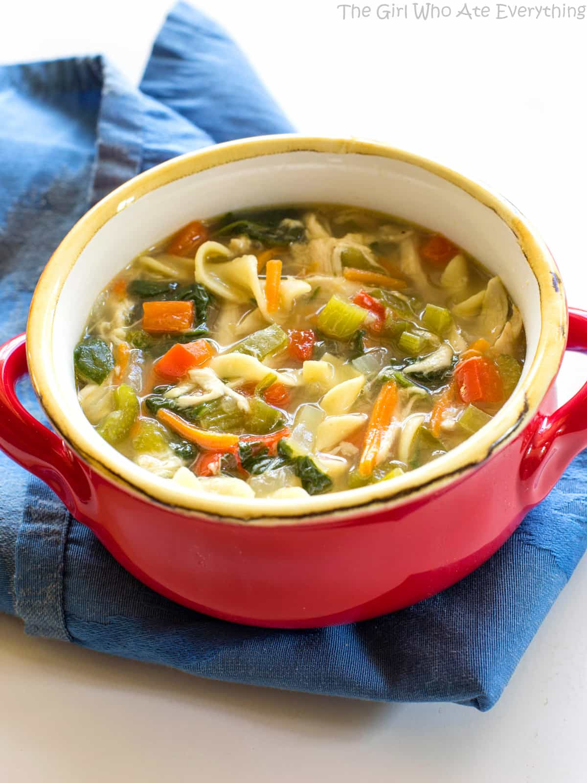 Vegetable Chicken Soup
 Healthy Ve able Chicken Soup The Girl Who Ate Everything