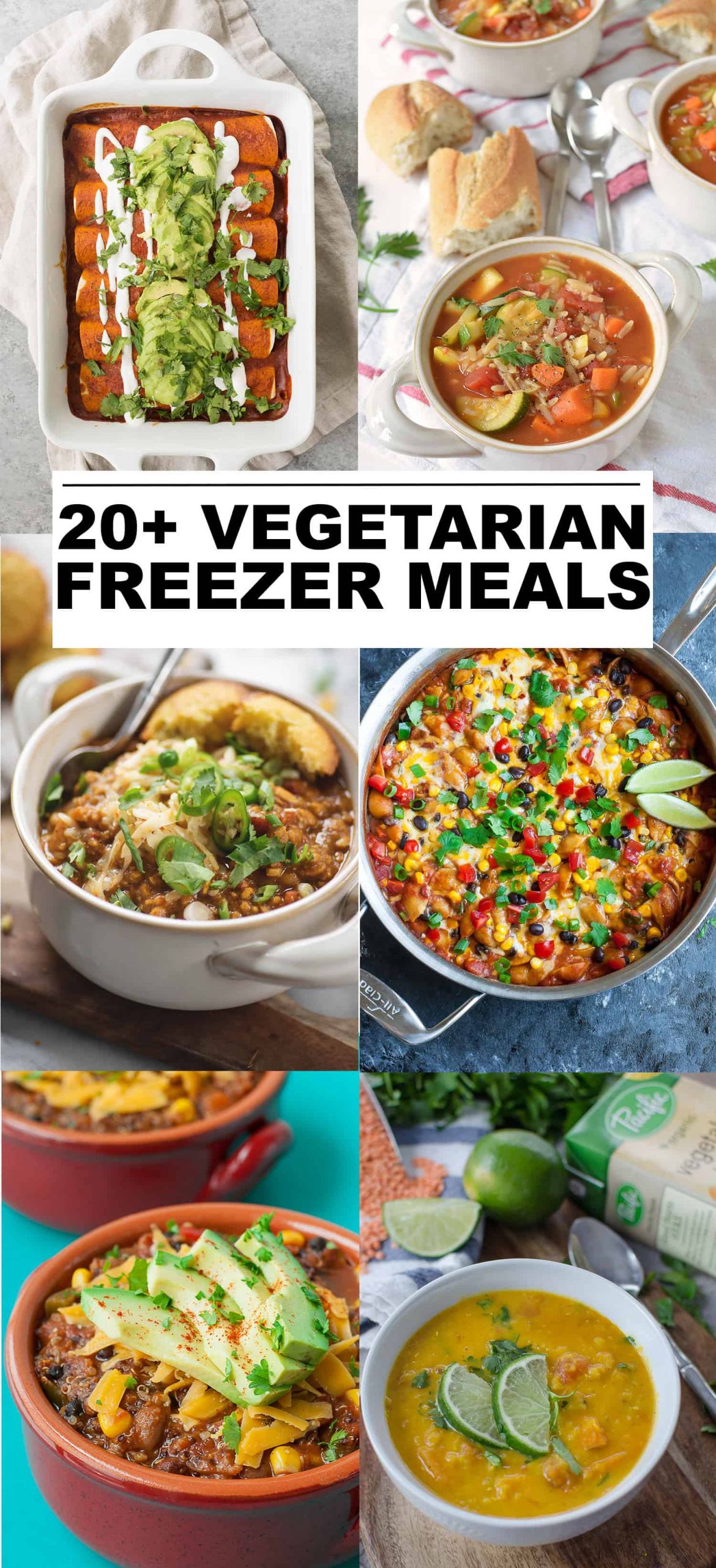 Vegetarian Frozen Dinners
 20 Ve arian Freezer Recipes for New Moms Delish Knowledge