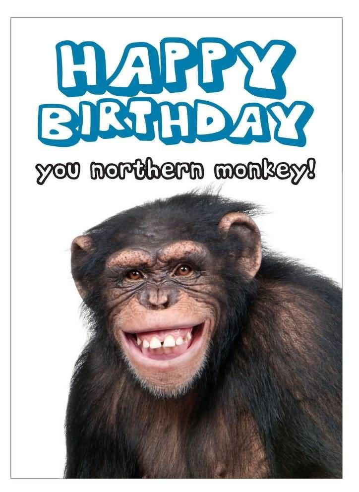 Very Funny Birthday Wishes
 Birthday Cards for your Family & Friends Happy