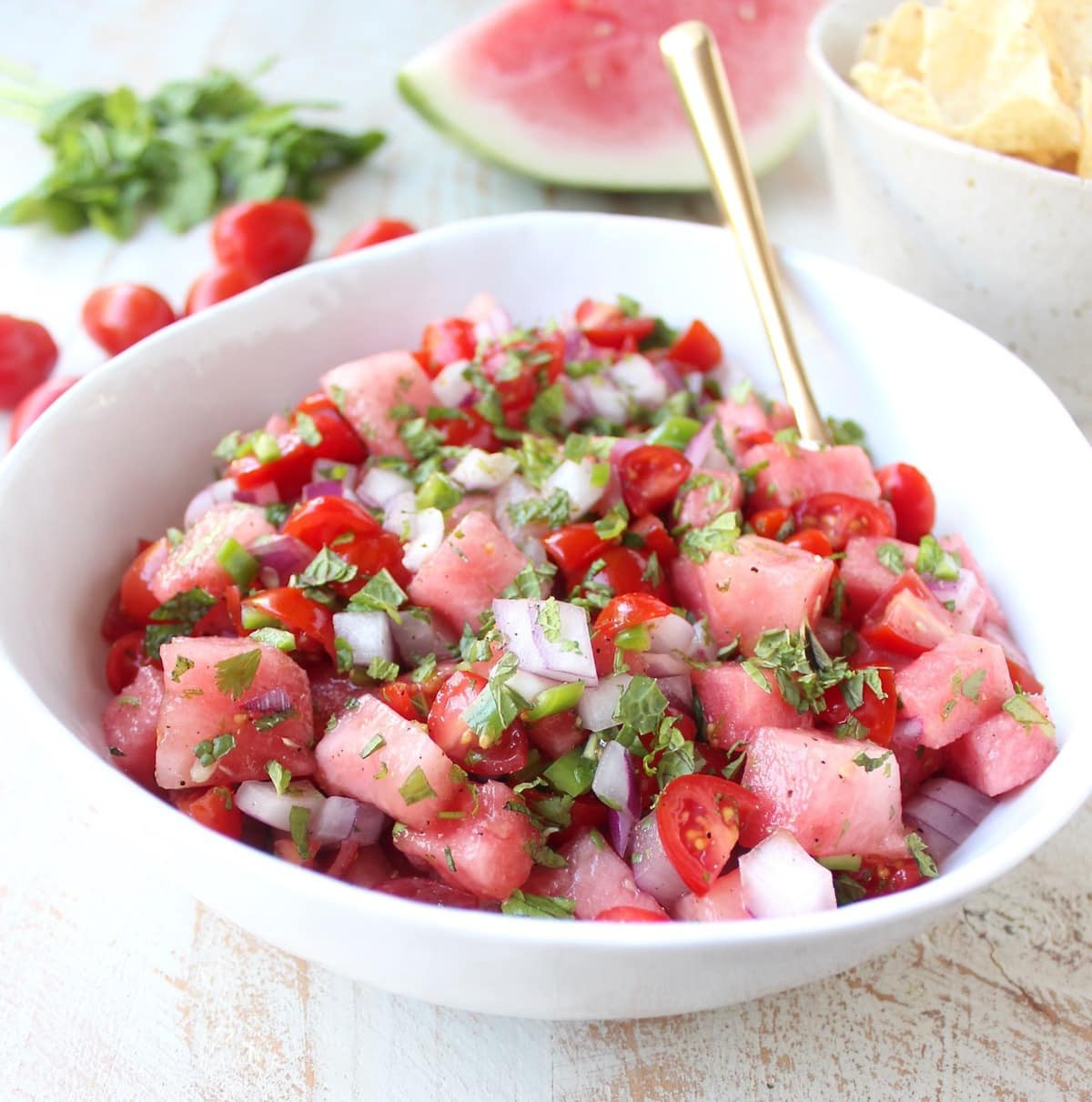 Watermelon Salsa Recipe
 Watermelon Salsa Recipe WhitneyBond